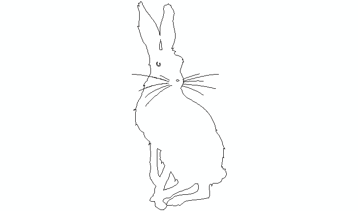 rabbit CAD block