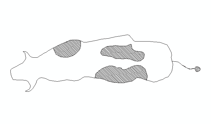 friesian cow CAD block